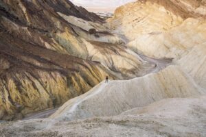 Read more about the article Accidental death policies