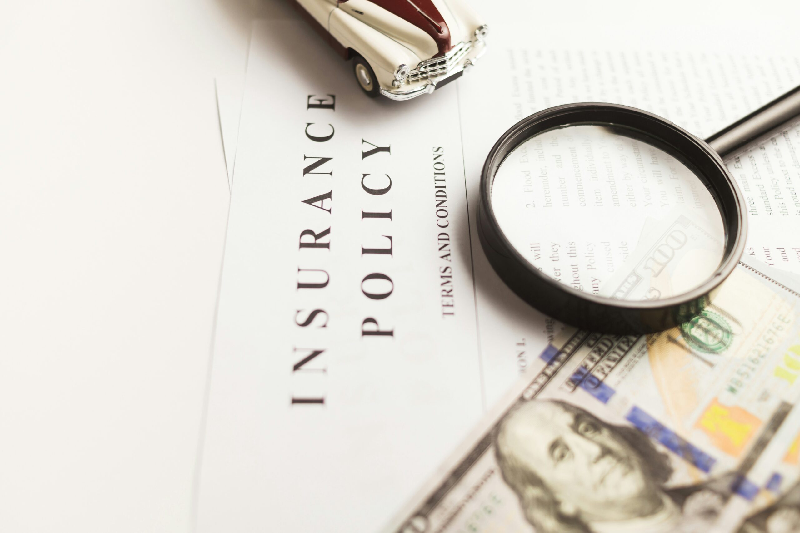 You are currently viewing An Investing/Insurance Alternative