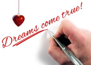 Read more about the article Business A Dream Come True