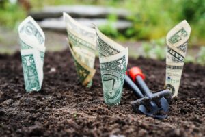Read more about the article Common Savings Account Features