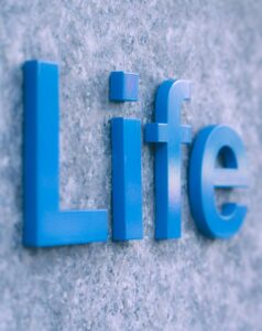 Read more about the article Customer For Life