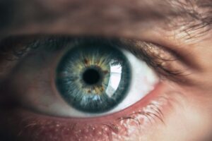 Read more about the article Eye on the Prize
