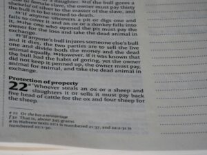 Read more about the article Family Feud with an Auction Deadline Adventures in Probate/ Estate Purchases