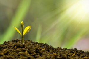 Read more about the article Finance Your Small Business So Much Money So Little Time