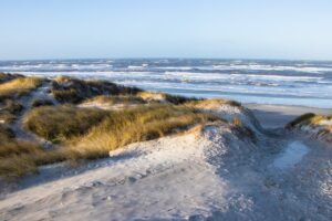 Read more about the article Finding Your True North
