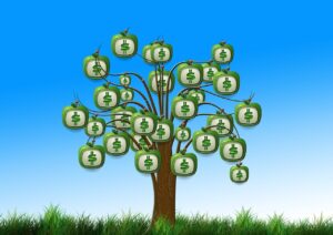 Read more about the article Get Top Dollar for Your Business by Being Prepared